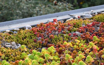 the cost of Shieldhill green roof installation