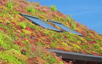 Shieldhill living roof systems