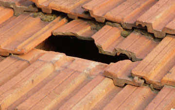 roof repair Shieldhill